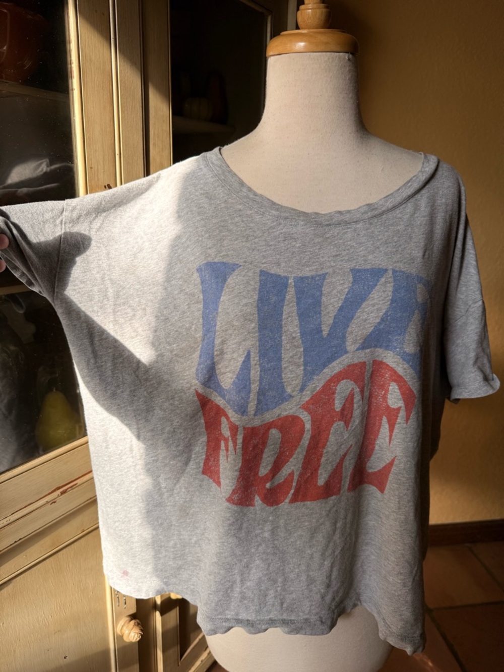 Old Navy Graphic Crop top PXL